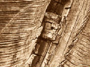 woodgraincanyons.jpg